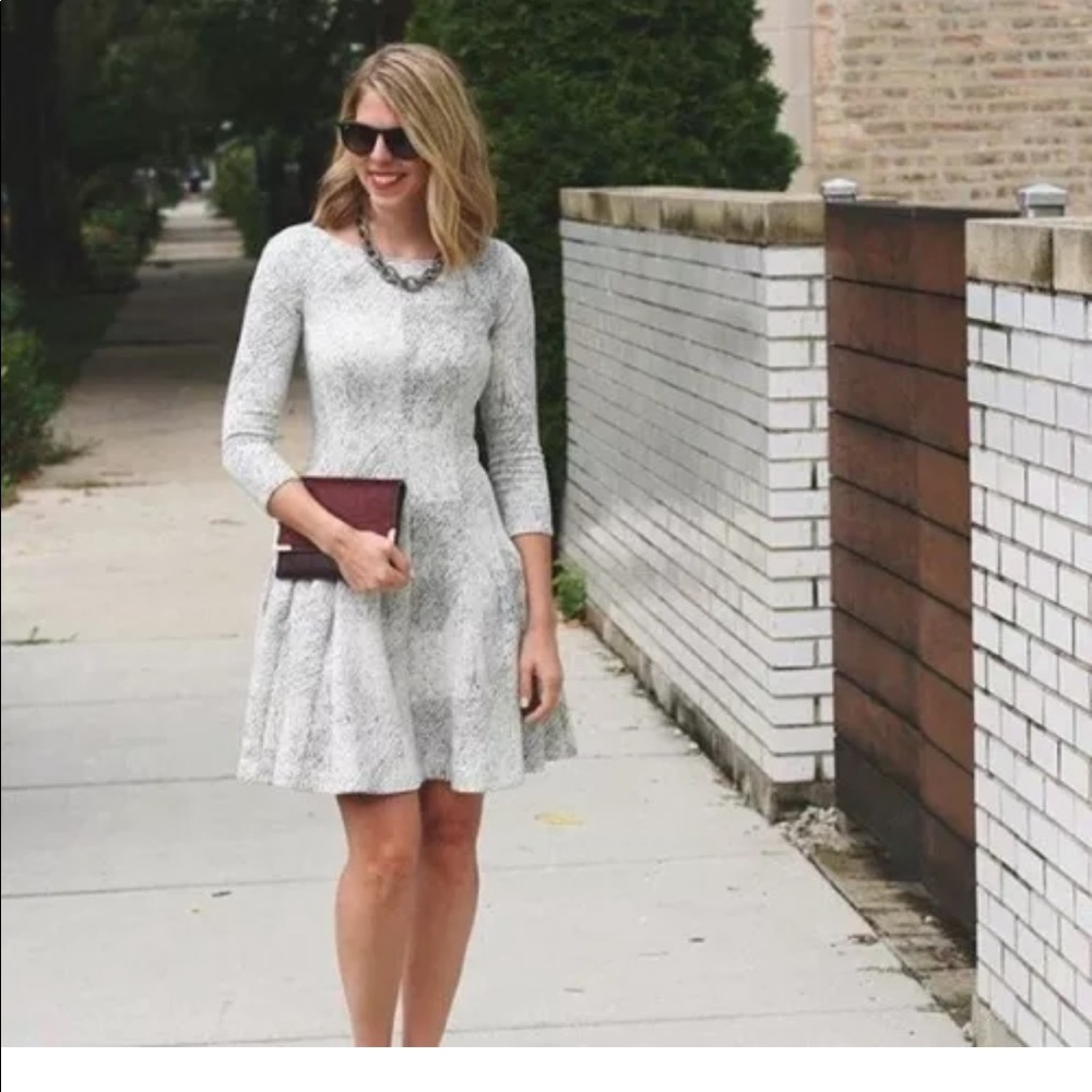 Banana Republic Fit and Flare Sweater Dress Sz 6